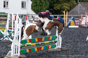 Class 6 - Fences not above 2'9